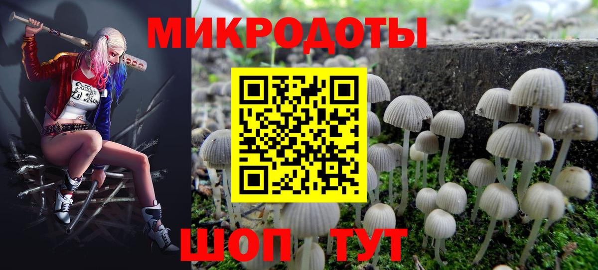 Урус-Мартан  Галлюциногенные грибы MAGIC MUSHROOMS  Вход с VPN 